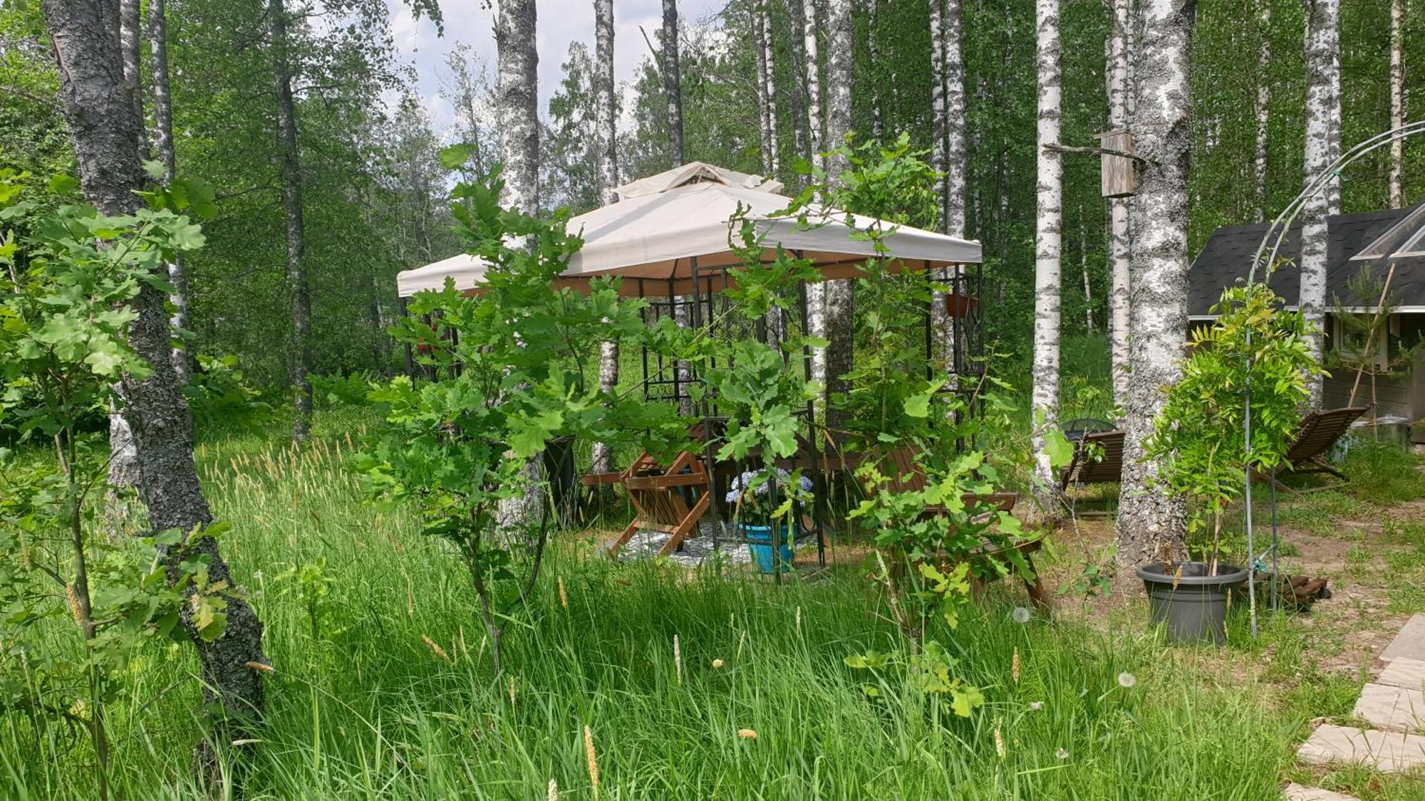 Troll House Eco-Cottage, Nuuksio For Nature Lovers, Petfriendly Эспоо Экстерьер фото